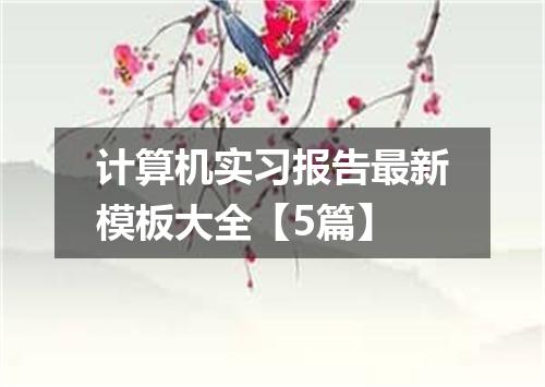 计算机实习报告最新模板大全【5篇】