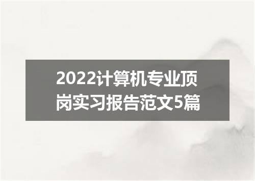 2022计算机专业顶岗实习报告范文5篇