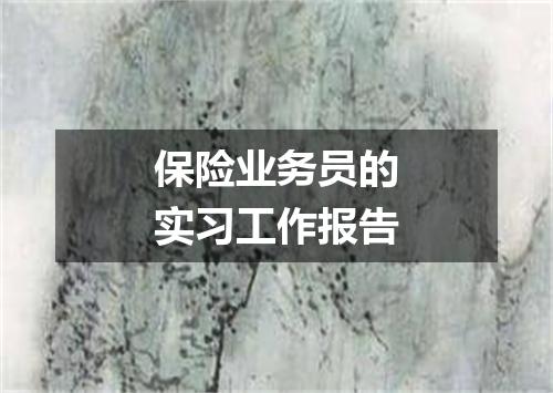 保险业务员的实习工作报告
