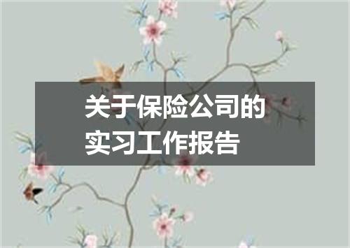 关于保险公司的实习工作报告
