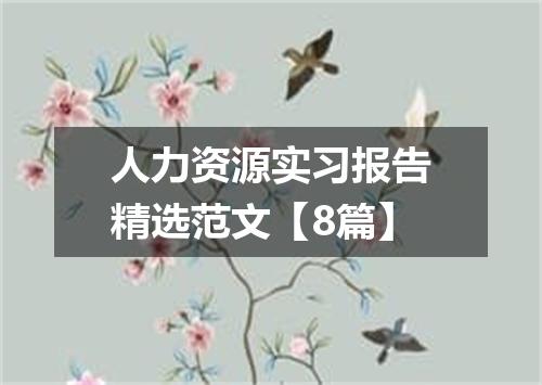 人力资源实习报告精选范文【8篇】