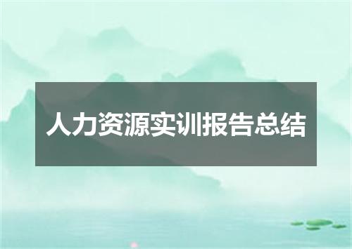 人力资源实训报告总结
