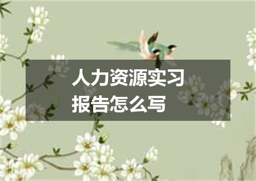 人力资源实习报告怎么写