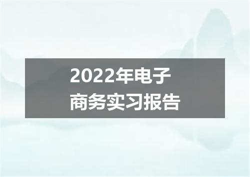 2022年电子商务实习报告