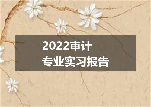 2022审计专业实习报告
