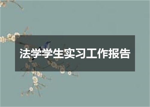 法学学生实习工作报告