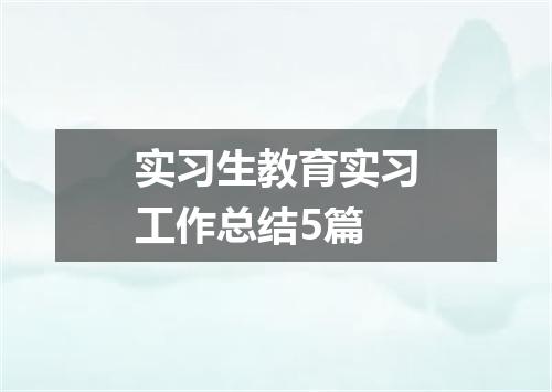 实习生教育实习工作总结5篇