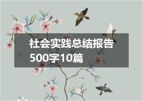 社会实践总结报告500字10篇