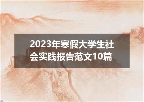 2023年寒假大学生社会实践报告范文10篇
