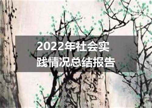2022年社会实践情况总结报告