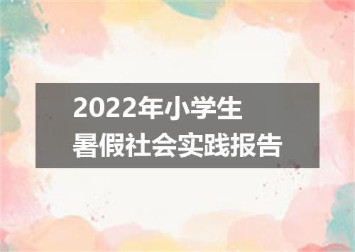 2022年小学生暑假社会实践报告