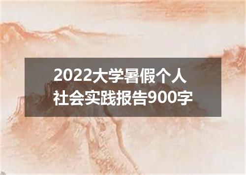 2022大学暑假个人社会实践报告900字