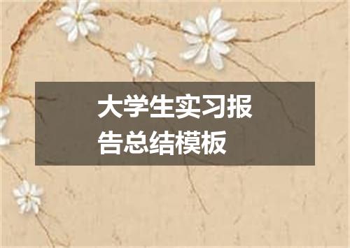 大学生实习报告总结模板