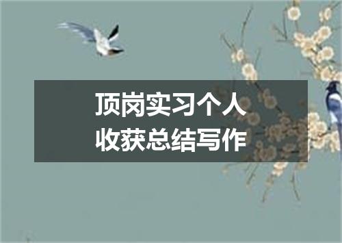 顶岗实习个人收获总结写作