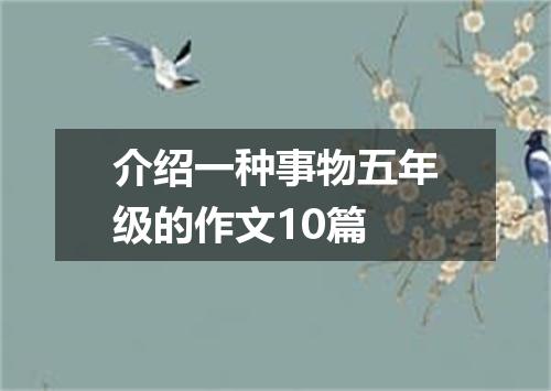介绍一种事物五年级的作文10篇