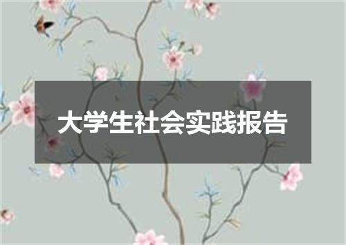 大学生社会实践报告