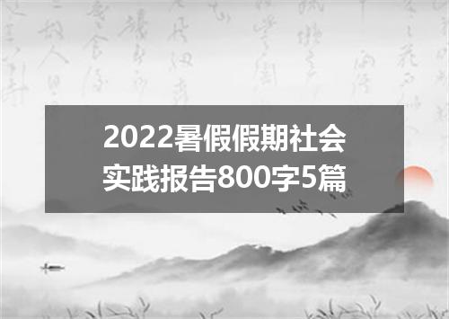 2022暑假假期社会实践报告800字5篇