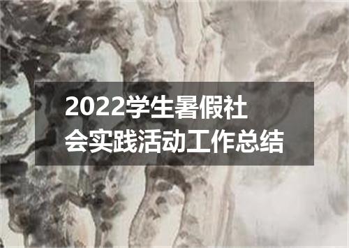 2022学生暑假社会实践活动工作总结