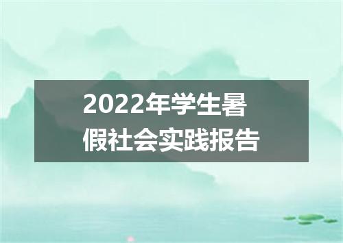 2022年学生暑假社会实践报告