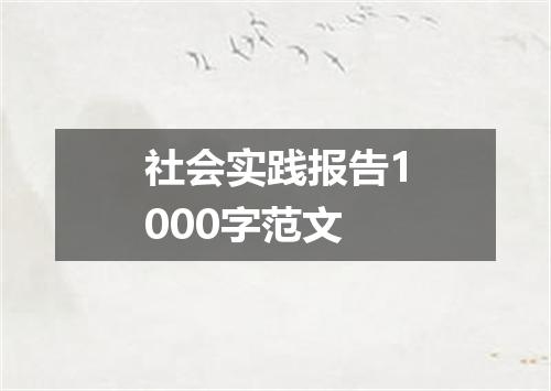 社会实践报告1000字范文
