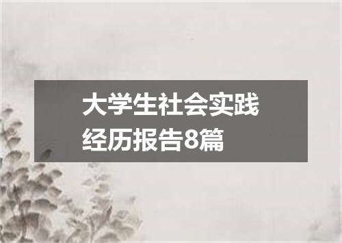 大学生社会实践经历报告8篇