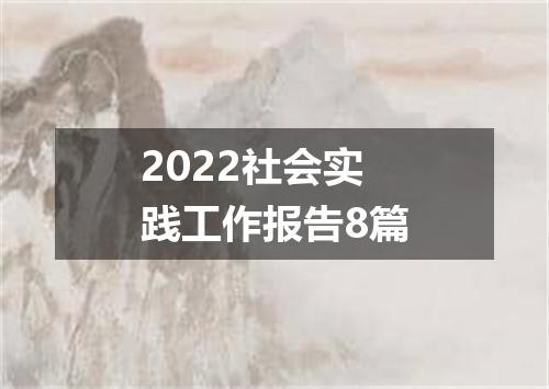2022社会实践工作报告8篇