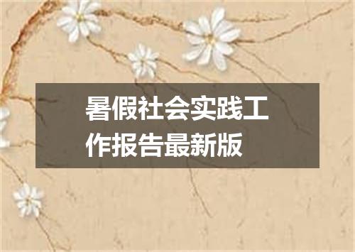 暑假社会实践工作报告最新版