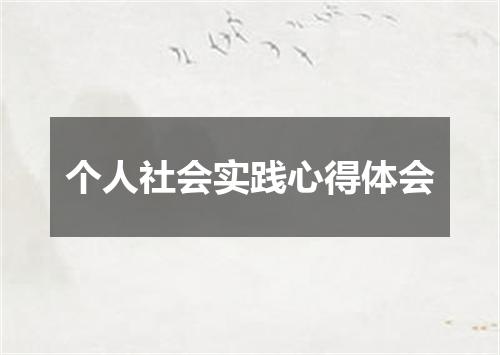 个人社会实践心得体会