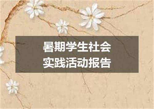 暑期学生社会实践活动报告