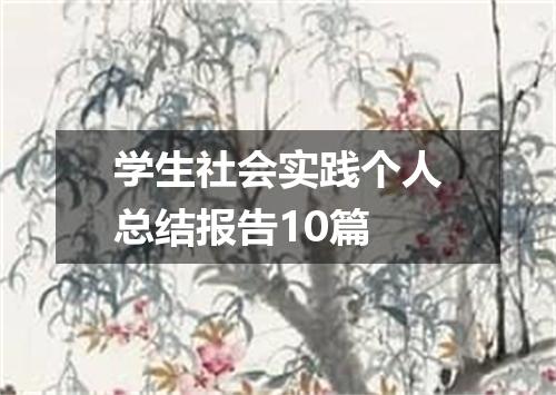 学生社会实践个人总结报告10篇