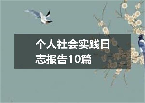 个人社会实践日志报告10篇