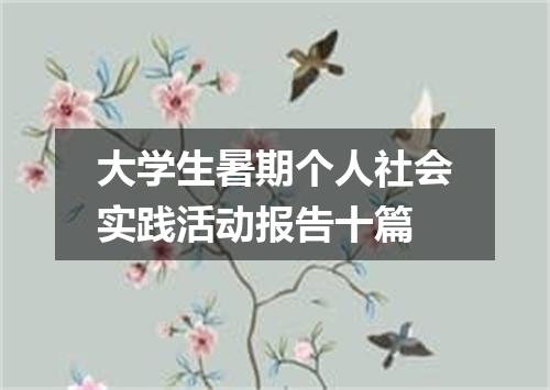 大学生暑期个人社会实践活动报告十篇
