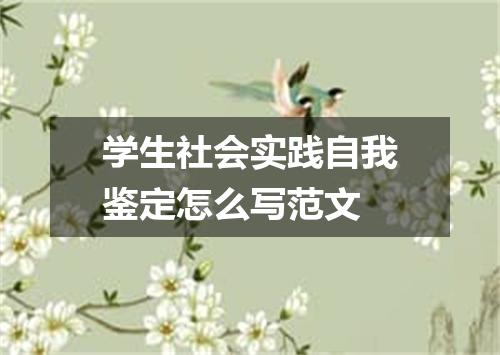 学生社会实践自我鉴定怎么写范文