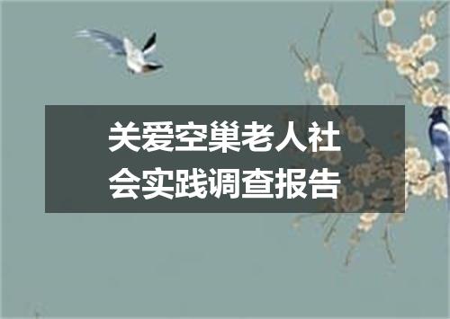 关爱空巢老人社会实践调查报告