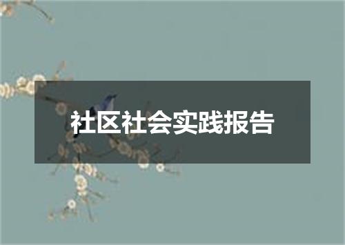 社区社会实践报告