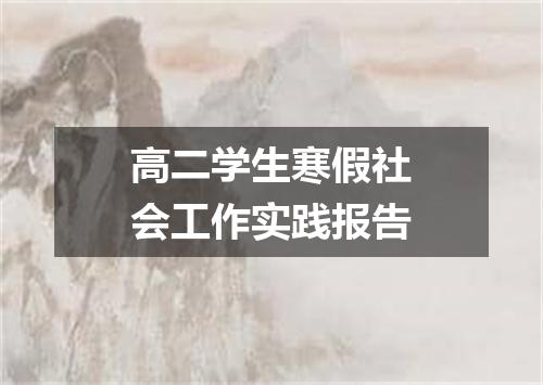 高二学生寒假社会工作实践报告