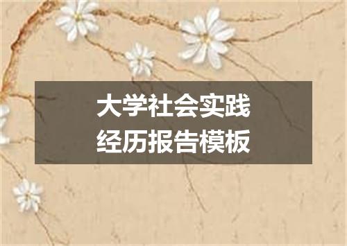 大学社会实践经历报告模板