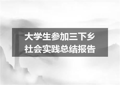 大学生参加三下乡社会实践总结报告