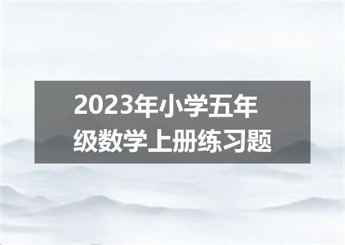 2023年小学五年级数学上册练习题