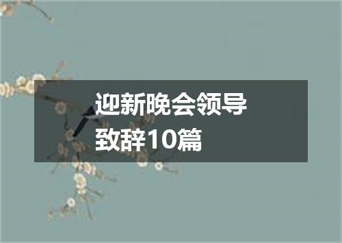 迎新晚会领导致辞10篇