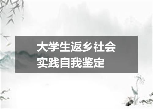 大学生返乡社会实践自我鉴定