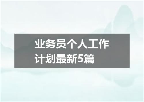 业务员个人工作计划最新5篇