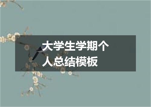 大学生学期个人总结模板