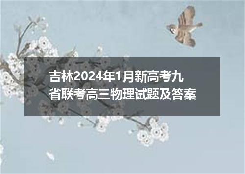 吉林2024年1月新高考九省联考高三物理试题及答案