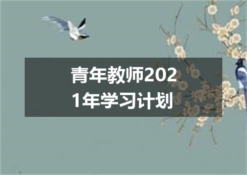 青年教师2021年学习计划