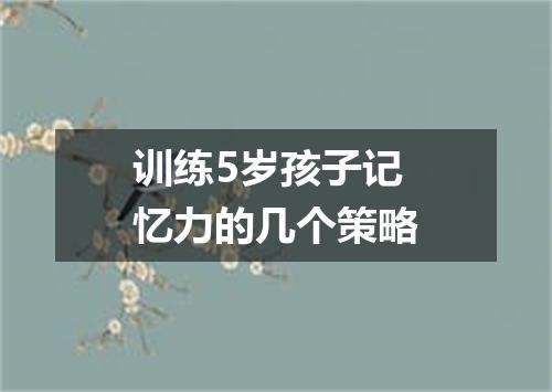 训练5岁孩子记忆力的几个策略