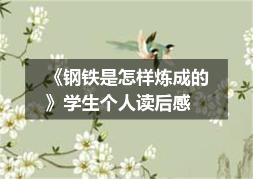 《钢铁是怎样炼成的》学生个人读后感