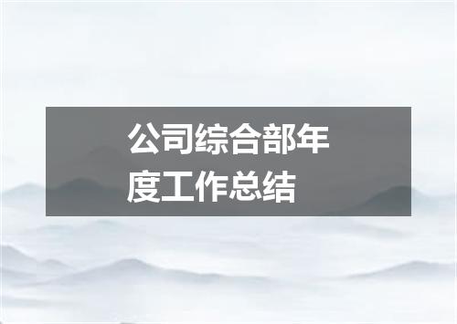 公司综合部年度工作总结