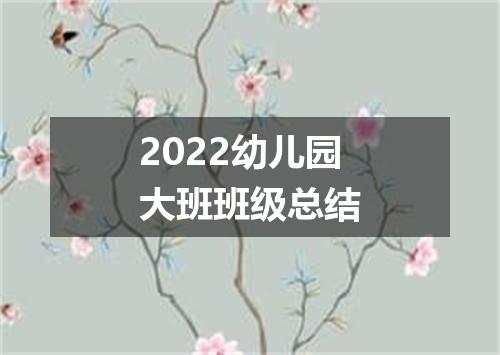 2022幼儿园大班班级总结