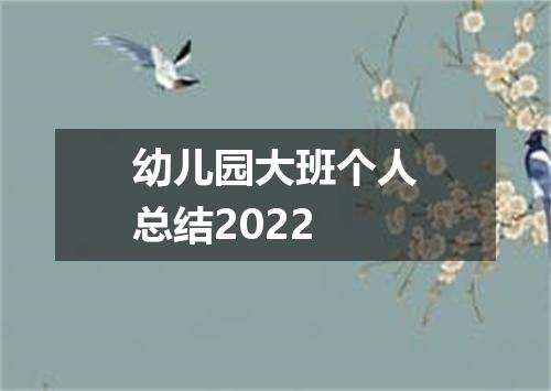 幼儿园大班个人总结2022